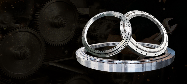 Slewing Bearing